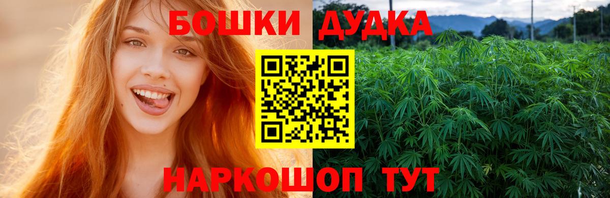 Конопля OG Kush Грозный